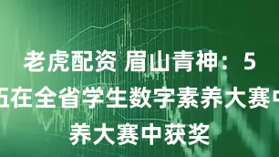 老虎配资 眉山青神：5支队伍在全省学生数字素养大赛中获奖